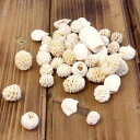 ドライフラワー 花材 即日出荷 ミックスナッツ 白 ドライフラワー スワッグ ブーケ ドライフラワー花束 ドライフラワースワッグ リース アレンジ 花材 素材 ...