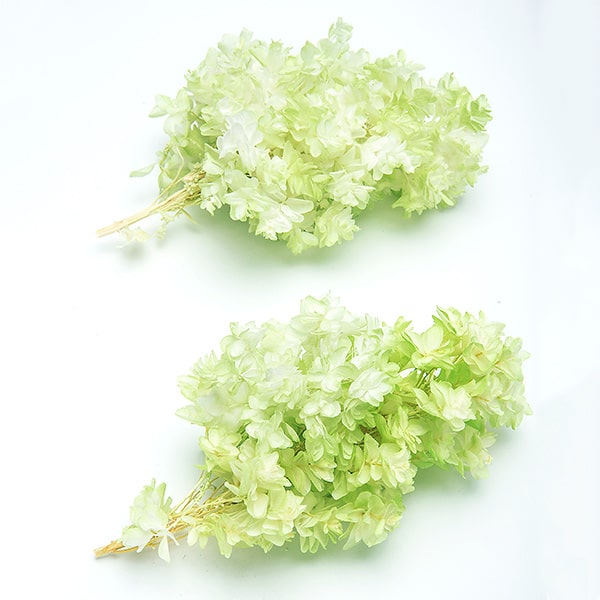 楽天市場】グラデーション紫陽花の通販
