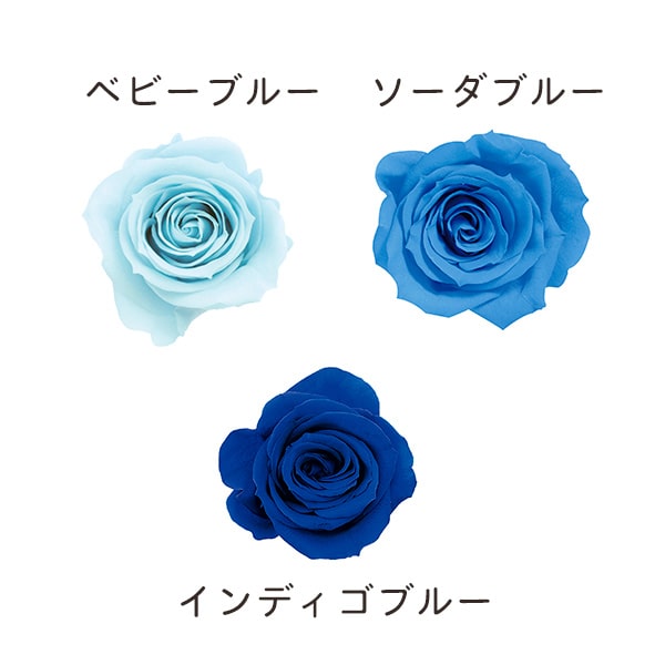 プリザーブドフラワー 花材 即日出荷 ローズ・いずみ・カラーアソート ブルーミックス プリザーブドフラワー スワッグ ブーケ ドライフラワー 花束 リース アレンジ 花材 素材 材料 パーツ アレンジメント ナチュラル 自然素材 装飾 髪飾り 花嫁 大地農園のサムネイル