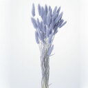 ドライフラワー 花材 即日出荷 ラグラス エンジェルパープル 穂 ドライフラワー スワッグ ブーケ ドライフラワー花束 ドライフラワースワッグ リース アレンジ...