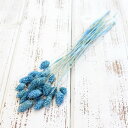 ドライフラワー 花材 即日出荷 ファラリス ブルー ドライフラワー スワッグ ブーケ ドライフラワー花束 ドライフラワースワッグ リース アレンジ 花材 素材 ...