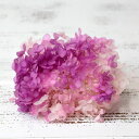 プリザーブドフラワー 花材 即日出荷 ソフトあじさいアナベル パルフェ カシスフロート アジサイ あじさい 紫陽花 花びら プリザーブドフラワー スワッグ ブー...