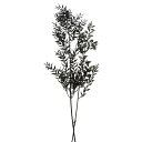 プリザーブドフラワー 花材 即日出荷 ソフトラスカス(75775) ドライフラワー リーフ 葉 プリザーブドフラワー スワッグ ブーケ 花束 リース アレンジ ...