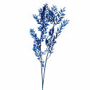 プリザーブドフラワー 花材 即日出荷 ソフトラスカス(79043) リーフ 葉 青 ブルー 花材 素材 材料 プリザーブドフラワー スワッグ ブーケ ドライフラ...