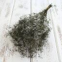 プリザーブドフラワー 花材 即日出荷 ソフトミニカスミ ブルーグリーン (在庫限り) かすみ カスミ カスミ草 かすみ草 プリザーブドフラワー スワッグ ブーケ...