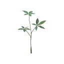 【ポイント10倍中 7/26 09:59迄】 フェイクグリーン 観葉植物 とりよせ品 パキラ(S) 人工観葉 インテリア インテリアフラワー フェイクフラワー ...