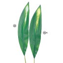 【ポイント10倍中 7/11 09:59迄】 造花 グリーン とりよせ品 ハラン インテリア フェイク グリーン パーツ インテリアフラワー フェイクフラワー ...