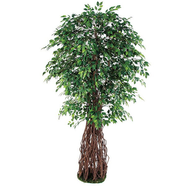 《 フェイクグリーン 観葉植物 》◆とりよせ品◆Asca(アスカ) 【メーカー直送品】 ファイカスツリー 210cm《代引不可・他商品との同梱不可》 グリーン観葉植物 2m 大型 人工観葉 インテリア 安い