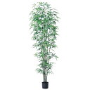 【ポイント10倍中 7/11 09:59迄】 フェイクグリーン 観葉植物 とりよせ品 【メーカー直送品】 バンブーツリー (ポット付) 200cm《代引不可・他...