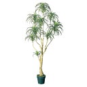 フェイクグリーン 観葉植物 とりよせ品 【メーカー直送品】 ユッカツリー (ポット付) 170cm《代引不可・他商品との同梱不可》 観葉植物 1.8m 大型 人...