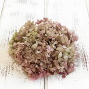 プリザーブドフラワー 花材 即日出荷 ピラミッドアジサイ・ヘッド オレガノピンク アジサイ あじさい 紫陽花 花びら プリザーブドフラワー スワッグ ブーケ ド...