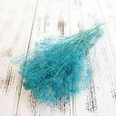 プリザーブドフラワー 花材 即日出荷 ソフトミニカスミ 空 ※多少色が薄い場合があります かすみ カスミ カスミ草 かすみ草 プリザーブドフラワー スワッグ ブ...