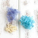 プリザーブドフラワー 花材 即日出荷 FM フラワーアソート 空 小分け 少量 プリザーブドフラワー スワッグ ブーケ ドライフラワー 花束 リース アレンジ ...