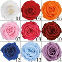 プリザーブドフラワー 花材 とりよせ品 プレミアムローズ(1箱3輪入り) ドライフラワー 花材 素材 パーツ 材料 ローズ ハーバリウム プリザーブドローズ ブリザーブド Preserving ナチュラル バラ 薔薇 プリザーブド仏花 自然素材 インテリア サシェ DIY