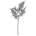 【ポイント10倍中 7/11 09:59迄】 造花 グリーン とりよせ品 アスパラガスファーン シダ ファーン 黒 ブラック インテリア フェイク グリーン パ...