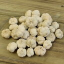 ドライフラワー 花材 即日出荷 パラスピール サラシ ※クリーム味が強い場合があります 実 木の実 ドライフラワー リース アレンジ 花材 素材 材料 パーツ ...