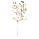 【ポイント10倍中 7/26 09:59迄】 造花 とりよせ品 クイーンアンズレース×2 ノラニンジン 野良人参 レースフラワー アーティフィシャルフラワー 造花 インテリア インテリアフラワー フェイクフラワー シルクフラワー グリーン 春 アスカ ASCA アスカ商会