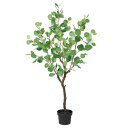 フェイクグリーン 観葉植物 とりよせ品 【メーカー直送品】ユーカリ(ポット付) 118cm《代引決済・他商品との同梱不可》 観葉植物 1m 人工観葉 インテリア...