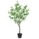 ポット 《 フェイクグリーン 観葉植物 》◆とりよせ品◆Asca(アスカ) 【メーカー直送品】ユーカリ(ポット付) 118cm《代引決済・他商品との同梱不可》 グリーン観葉植物 1m 人工観葉 インテリア 安い