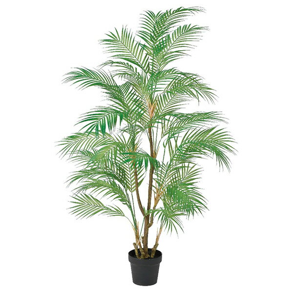 《 フェイクグリーン 観葉植物 》 ◆とりよせ品◆Asca(アスカ) 【メーカー直送品】パーム(ポット付) 145cm《代引決済・他商品との同梱不可》 観葉植物 人工観葉 インテリア インテリアフラワー フェイクフラワー シルクフラワー インテリアグリーン 安い