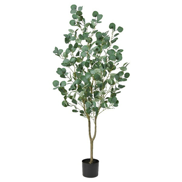 《 フェイクグリーン 観葉植物 》◆とりよせ品◆Asca(アスカ) 【メーカー直送品】ユーカリ(ポット付) 150cm《代引決済・他商品との同梱不可》 グレイグリーン観葉植物 1.5m 大型 人工観葉 安い