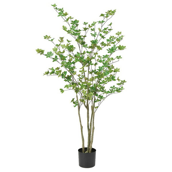 《 フェイクグリーン 観葉植物 》◆とりよせ品◆Asca(アスカ) 【メーカー直送品】ドウダン(ポット付) 155cm《代引決済・他商品との同梱不可》 グリーン観葉植物 1.5m 大型 人工観葉 インテリア