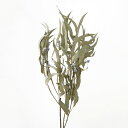 ドライフラワー 花材 即日出荷 【40%OFF】期間限定特価 ユーカリ・グロボラス・葉付 ナチュラル ドライフラワー スワッグ ブーケ ドライフラワー花束 ドラ...