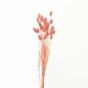 ドライフラワー 花材 即日出荷 ポアプランツ シャーベットピーチ 穂 ドライフラワー スワッグ ブーケ ドライフラワー花束 ドライフラワースワッグ リース アレ...