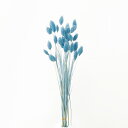 ★P10倍 10/14 20時から★ ドライフラワー 花材 即日出荷 【40%OFF】期間限定特価 ポアプランツ ウォーターブルー 穂 ドライフラワー スワッグ...
