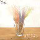 ★P10倍 10/14 20時から★ ドライフラワー 花材 即日出荷 スティファ フェザーグラス 花材 素材 材料 パーツ スワッグ ブーケ ドライフラワー花束...