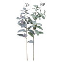 【ポイント10倍中 7/11 09:59迄】 造花 グリーン とりよせ品 ラムズイヤー 緑 グリーン 葉もの 葉っぱ インテリア フェイク パーツ インテリアフラワー フェイクフラワー シルクフラワー インテリアグリーン フェイクグリーン 花材 アスカ ASCA アスカ商会