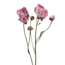 ドライフラワー 花材 即日出荷 ピオニー ナチュラルピンク ドライフラワー スワッグ ブーケ ドライフラワー花束 ドライフラワースワッグ リース アレンジ 花材...