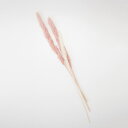 プリザーブドフラワー 花材 即日出荷 束ねる テールリード シルキーピンク/白 (在庫限り) 少量 小分け 花材 素材 材料 パーツ アソート ミックスカラー ...