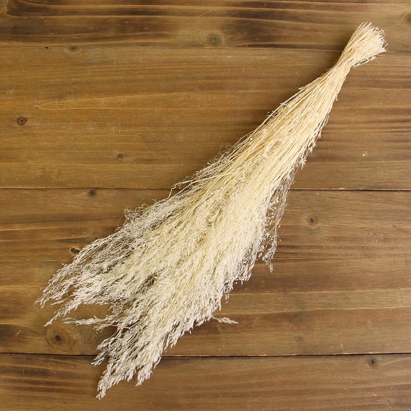 【ポイント3倍!30日限定!】 ドライフラワー 花材 即日出荷 アグロスティス オフホワイト ドライフラワー スワッグ ブーケ ドライフラワー花束 ドライフラワースワッグ リース アレンジ 花材 素材 東花