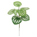 造花 グリーン とりよせ品 スイカペペ 観葉植物 壁面緑化 ウォールグリーン 斑入り インテリア フェイク パーツ インテリアフラワー フェイクフラワー シルク...