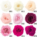 プリザーブドフラワー 花材 とりよせ品 シャーロット(1箱12輪入り) ドライフラワー 花材 素材 パーツ 材料 ローズ ハーバリウム プリザーブドローズ ブリ...