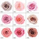 プリザーブドフラワー 花材 とりよせ品 ローズ・かのん・M(1箱9輪入り) ドライフラワー 花材 素材 パーツ 材料 ローズ ハーバリウム プリザーブドローズ ブリザーブド Preserving ナチュラル バラ 薔薇 プリザーブド仏花 自然素材 インテリア 大地農園