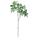 【ポイント10倍中 7/11 09:59迄】 フェイクグリーン 観葉植物 とりよせ品 パキラ 緑 グリーン 葉もの 葉っぱ インテリア 人工観葉 インテリアフラワー フェイクフラワー シルクフラワー インテリアグリーン フェイクグリーン 安い アスカ ASCA アスカ商会