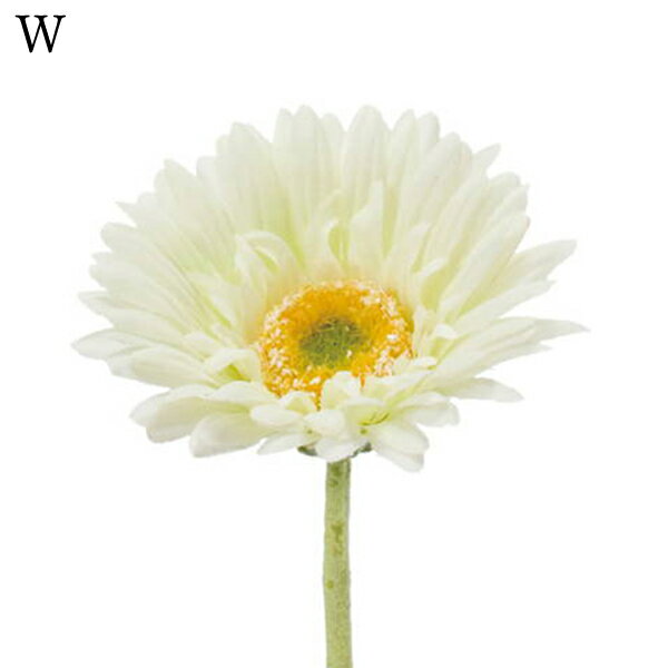 造花 とりよせ品 シングルガーベラ(1セット12本入り) アーティフィシャルフラワー インテリア インテリアフラワー フェイクフラワー 花材 横浜ディスプレイミュージアム YDM