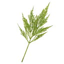 【ポイント10倍中 5/16 09:59迄】 造花 グリーン とりよせ品 バーラッシュグラススプレー(1セット12本入り) インテリア フェイク グリーン パー...