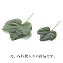 【ポイント10倍中 5/16 09:59迄】 造花 グリーン とりよせ品 グレープアイビー24P(1セット12袋入り) インテリア フェイク グリーン パーツ ...