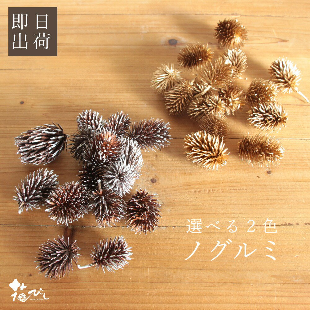 ドライフラワー 花材 即日出荷 ノグルミ 花材 素材 材料 パーツ リース 白 ホワイト ゴールド 金 スノ..