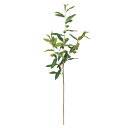 【ポイント10倍中 7/11 09:59迄】 造花 グリーン とりよせ品 オリーブ 緑 グリーン 葉もの 葉っぱ おしゃれ インテリア フェイク パーツ インテリアフラワー フェイクフラワー シルクフラワー インテリアグリーン フェイクグリーン アスカ ASCA アスカ商会