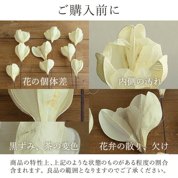 ハンドメイドフラワー 花材》 即日出荷 リース レッド 東方貿易 ハンドメイドフラワー 花材 花 ウィングフラワー ブーケ ナチュラル 材料 素材 ハンドメイドフラワー 花材》 即日出荷 リース レッド 東方貿易 ハンドメイドフラワー 花材 花 ウィングフラワー ブーケ ナチュラル 材料 素材