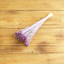 ドライフラワー 花材 即日出荷 セジナボタン ライトパープル ドライフラワー スワッグ ブーケ ドライフラワー花束 ドライフラワースワッグ リース アレンジ 花...