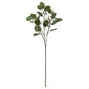 【ポイント10倍中 7/11 09:59迄】 造花 グリーン とりよせ品 ユーカリ インテリア フェイク グリーン パーツ インテリアフラワー フェイクフラワー...