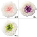 プリザーブドフラワー 花材 とりよせ品 輪菊・小・ミルフィーユ(9輪入り) 花材 素材 材料 パーツ ドライフラワー 菊 マム ピンク パープル 紫 薄紫 うすむらさき 緑 グリーン 造花 仏花 お供え アレンジメント ブーケ スワッグ クラッチブーケ 大地農園