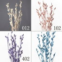 【ポイント10倍中 7/26 09:59迄】 ドライフラワー 花材 とりよせ品 フィビキア ドライ 自然素材 ナチュラルドライフラワー インテリア インテリアフラワー プリ プリザ プリザーブド ハーバリウム スワッグ ワークショップ パーツ サシェ レジン 大地農園
