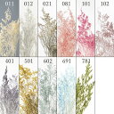 プリザーブドフラワー 花材 即日出荷 【40%OFF】期間限定特価 カスピア ※オフホワイトがクリーム色の場合があります 花材 素材 材料 パーツ ドライフラワ...