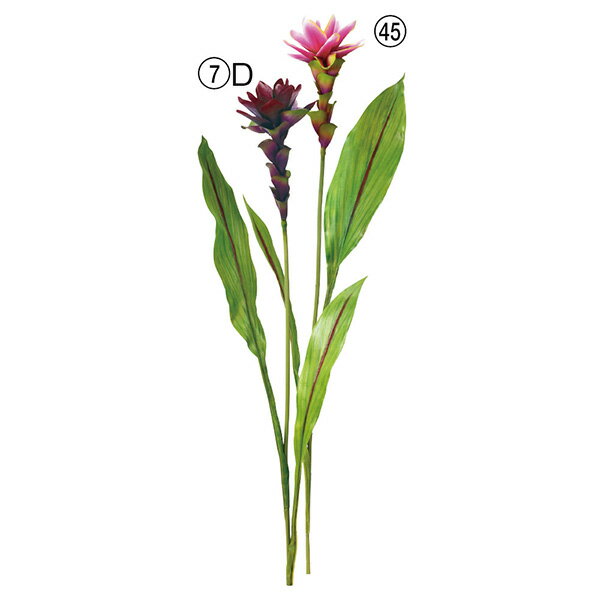 【P10倍 12/31まで!】 造花 とりよせ品 ジンジャー インテリア インテリアフラワー フェイクフラワー シルクフラワー インテリアグリーン フェイクグリ...